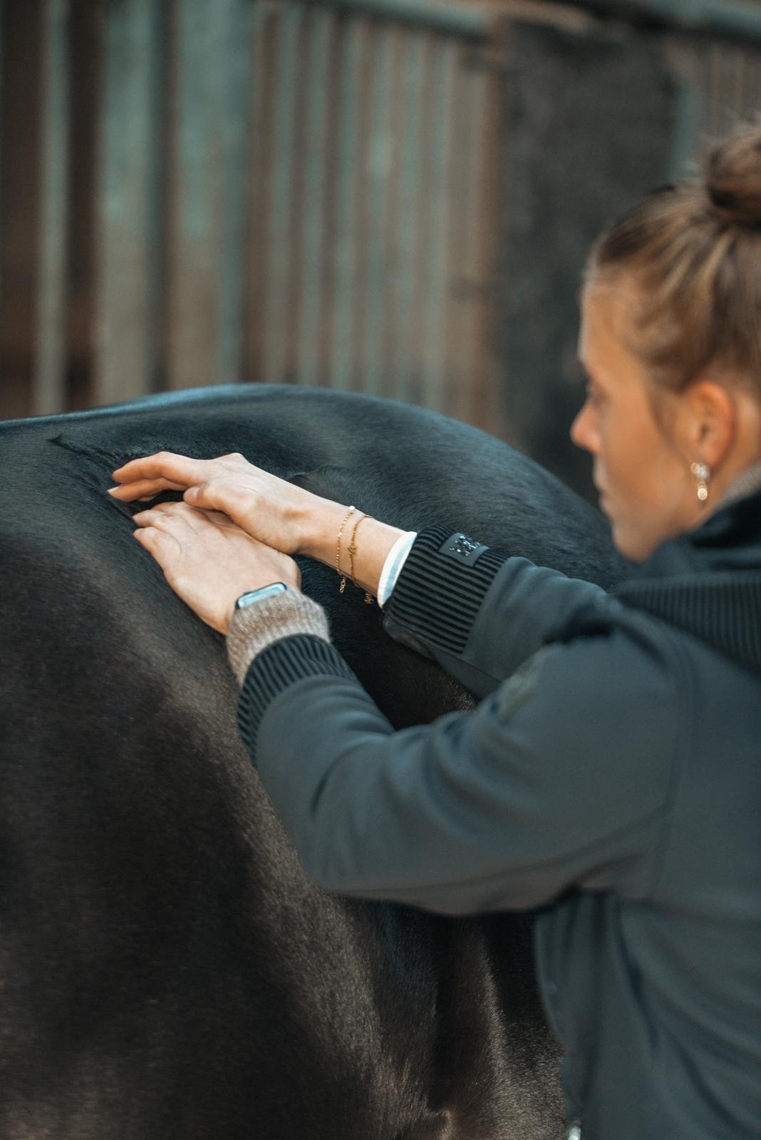 Home Massagetherpie am Rücken | Pferdeosteopathie Bimberg