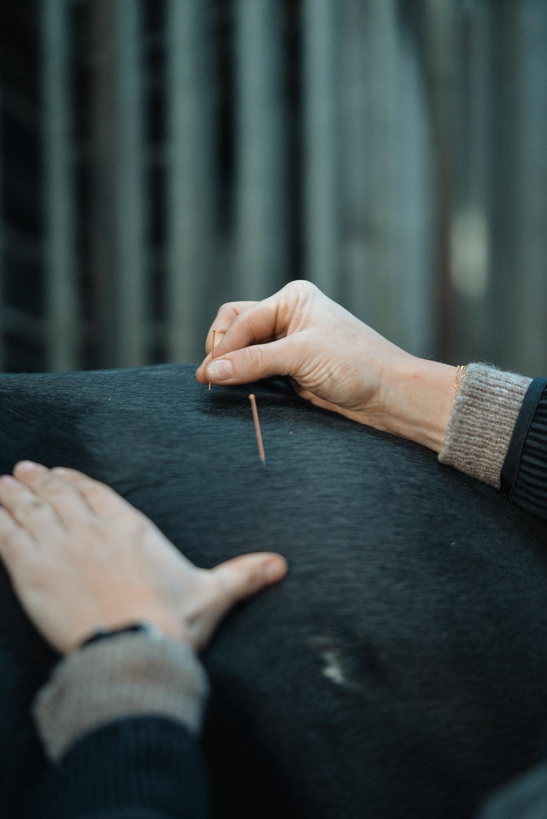 Home Dry Needling am Rücken | Pferdeosteopathie Bimberg