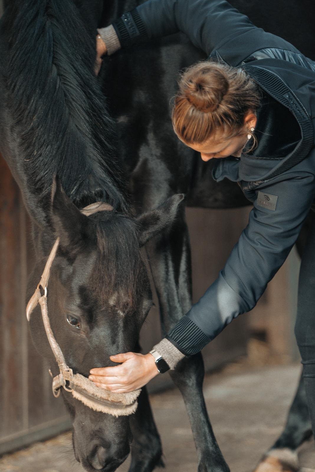 Home Nackendehnung | Pferdeosteopathie Bimberg