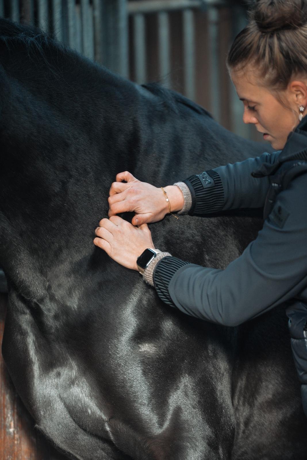Home Faszientherapie zentraler Übergang letzter Halswirbel - erster Brustwirbel | Pferdeosteopathie Bimberg