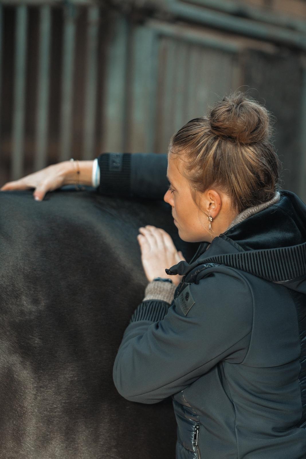 Home Wirbeltherapie | Pferdeosteopathie Bimberg