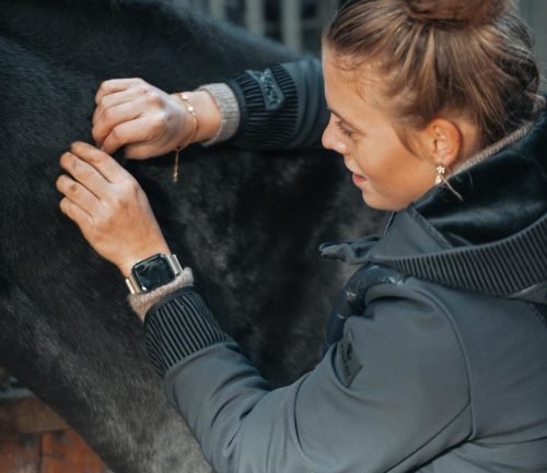 Faszientherapie | Pferdeosteopathie Bimberg