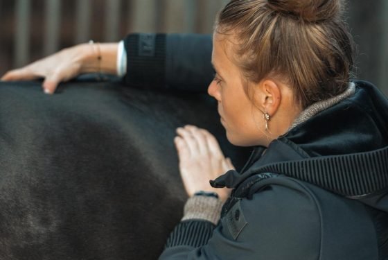 Wirbeltherapie | Pferdeosteopathie Bimberg